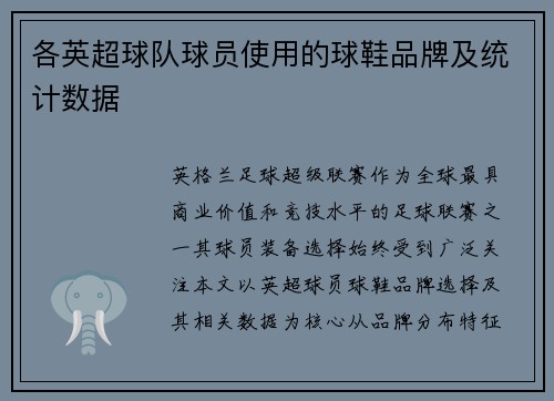 各英超球队球员使用的球鞋品牌及统计数据